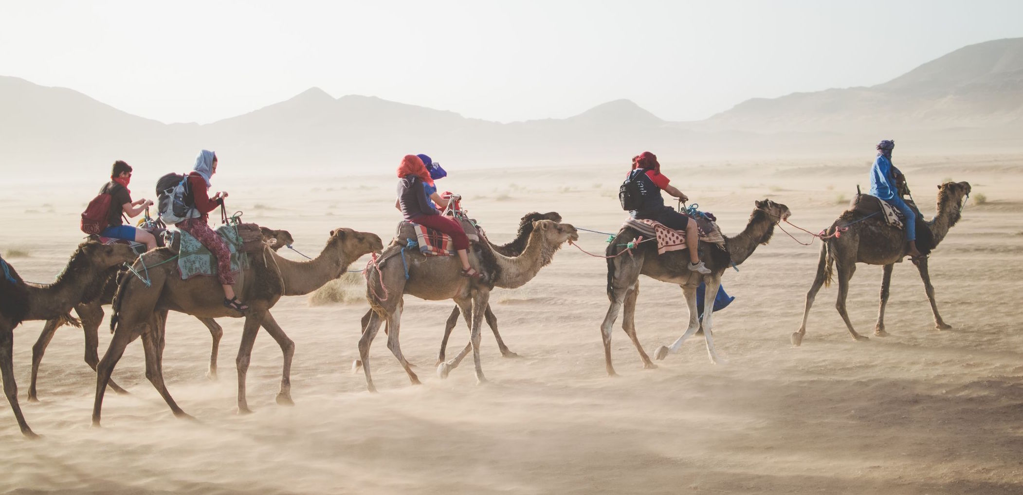 Camel Ride Sahara Desert