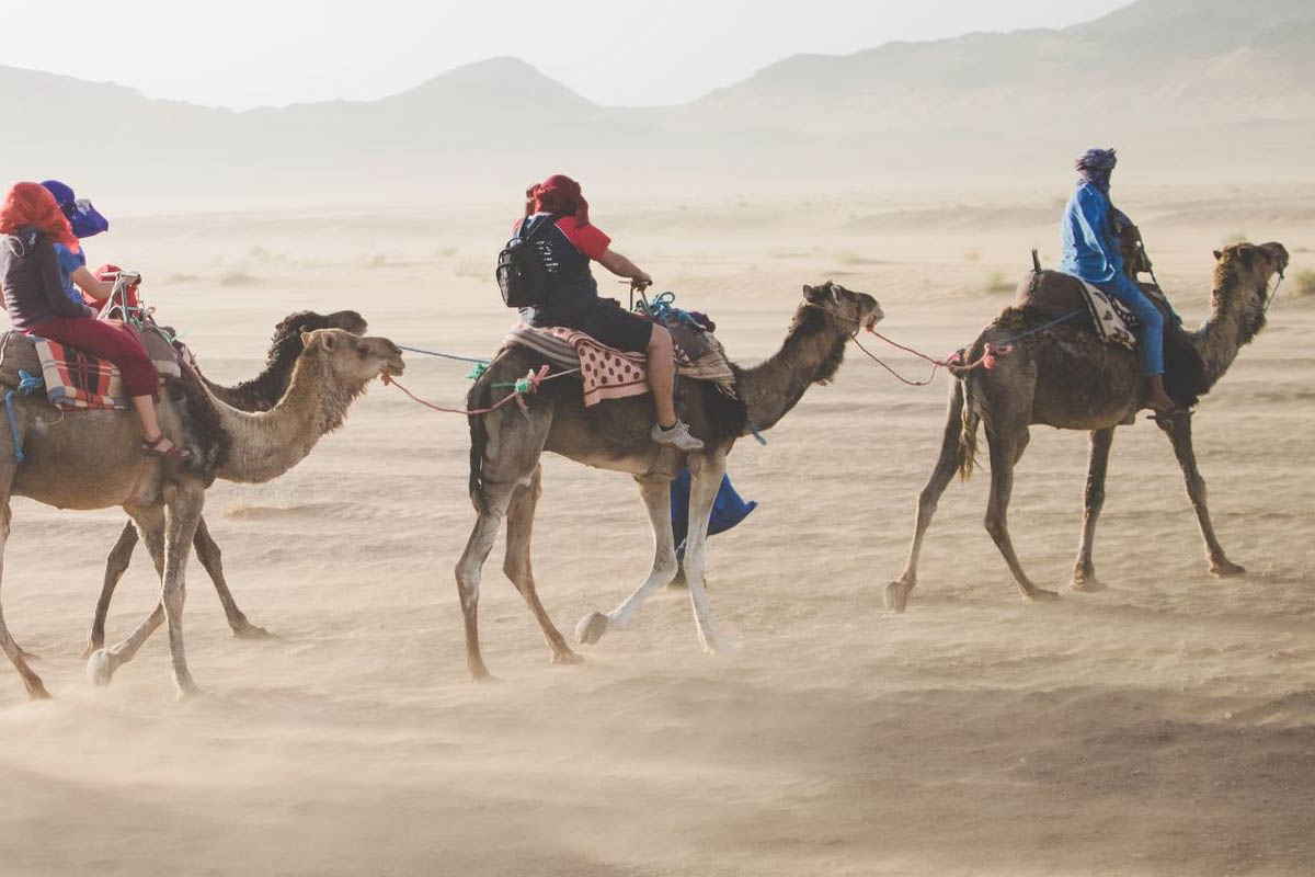 Camel Ride Sahara Desert